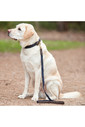 Weatherbeeta Leather Plaited Dog Collar - Brown / Navy